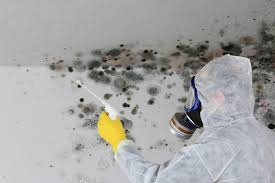 Best Mold Remediation for Healthcare Facilities  in New Roads, LA